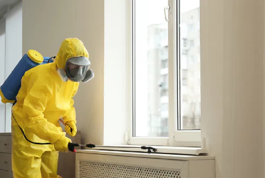 Why You Will have to By no means Forget about Pest Caution Indicators – County House B B – Kinds of Water Tanks Why You Will have to By no means Forget about Pest Caution Indicators – County House B B – Kinds of Water Tanks